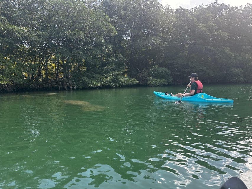 undefined Gallery Image 1