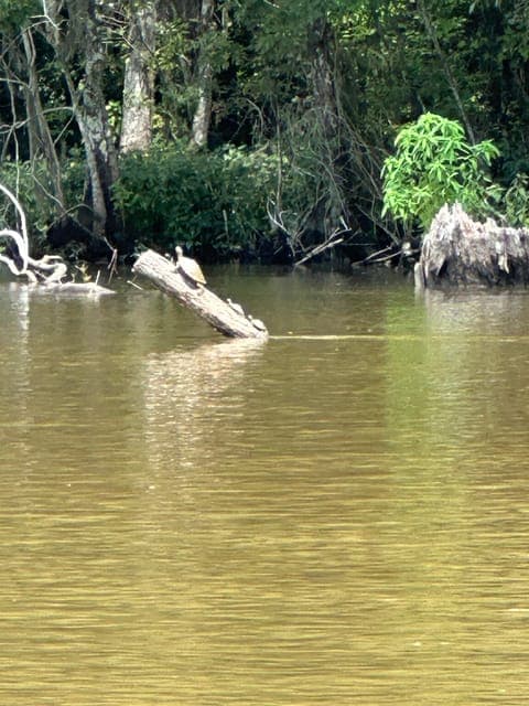 undefined Gallery Image 3