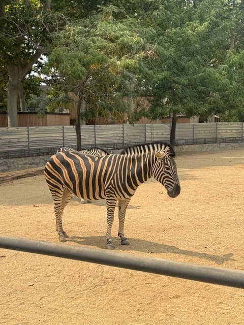 undefined Gallery Image 2