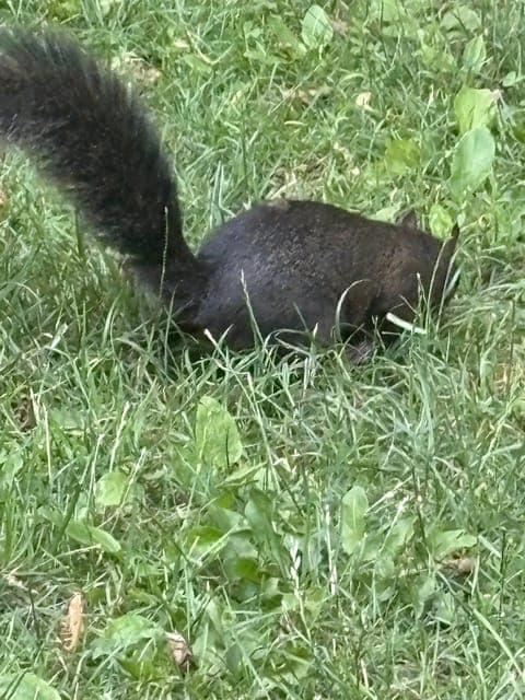 undefined Gallery Image 3