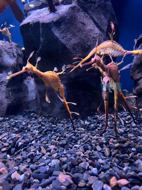 undefined Gallery Image 4