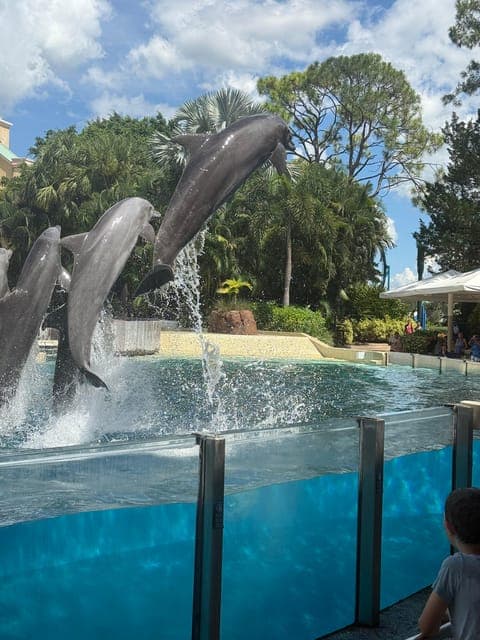 undefined Gallery Image 4