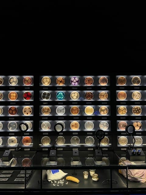 undefined Gallery Image 3