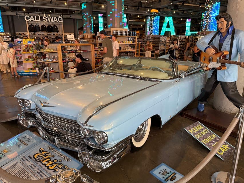 undefined Gallery Image 4