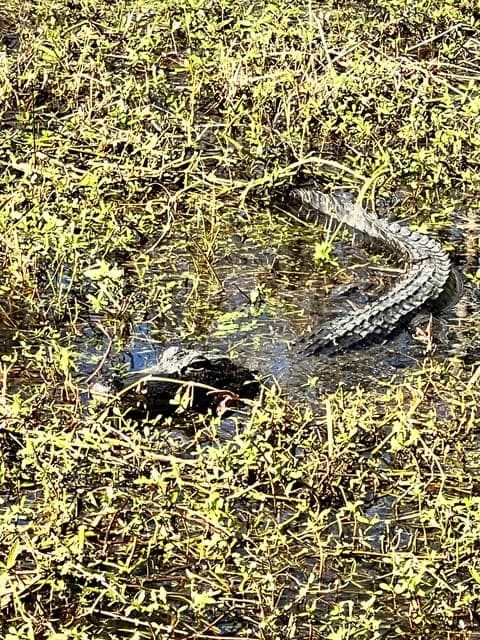 undefined Gallery Image 1