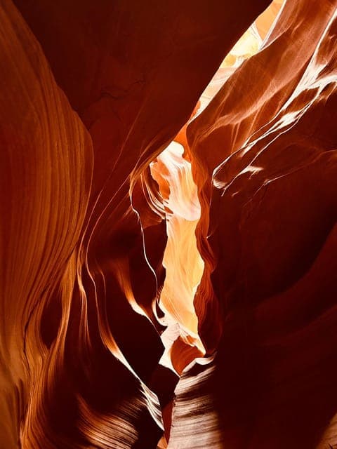 undefined Gallery Image 4