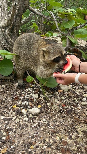 undefined Gallery Image 1