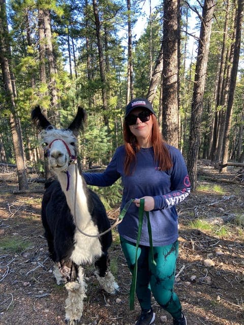 undefined Gallery Image 1