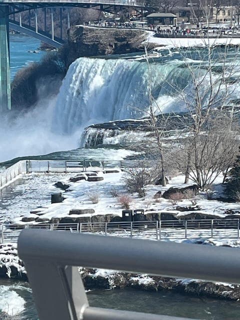 undefined Gallery Image 4