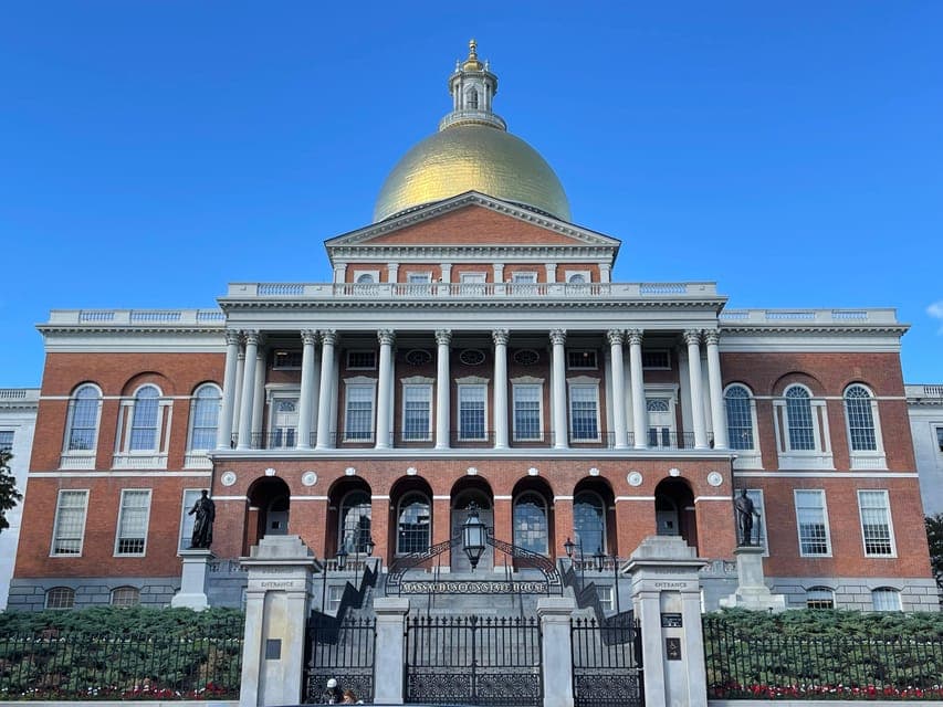 undefined Gallery Image 4