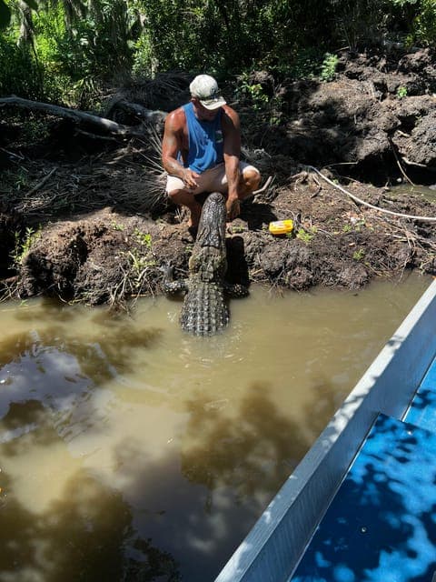 undefined Gallery Image 4