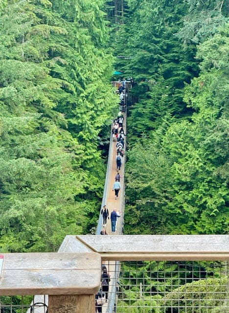 undefined Gallery Image 4