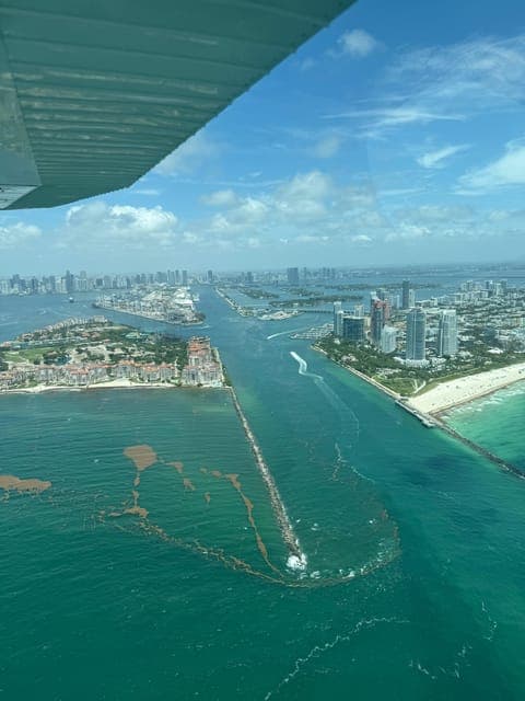 undefined Gallery Image 3