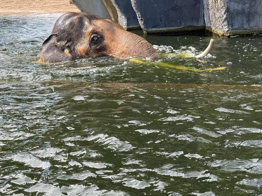 undefined Gallery Image 2