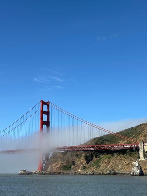 undefined Gallery Image 4