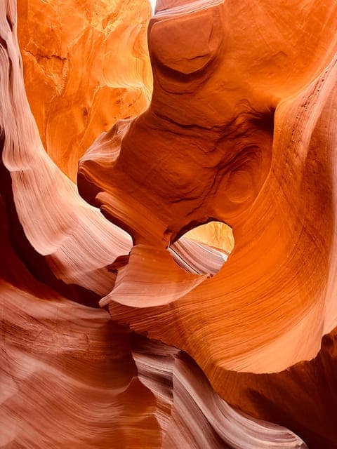 undefined Gallery Image 1