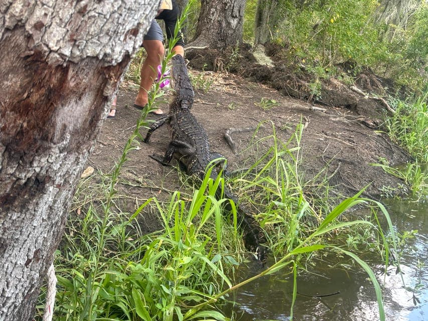 undefined Gallery Image 3