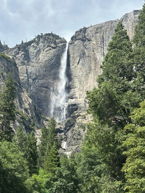 undefined Gallery Image 1