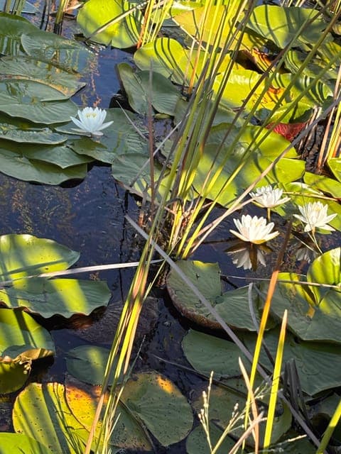 undefined Gallery Image 3