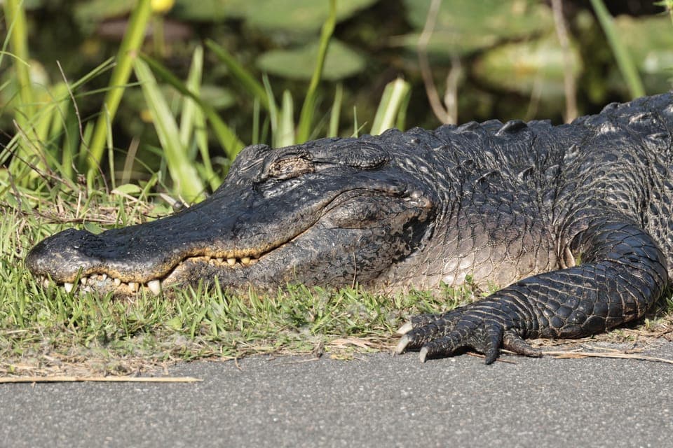 undefined Gallery Image 1