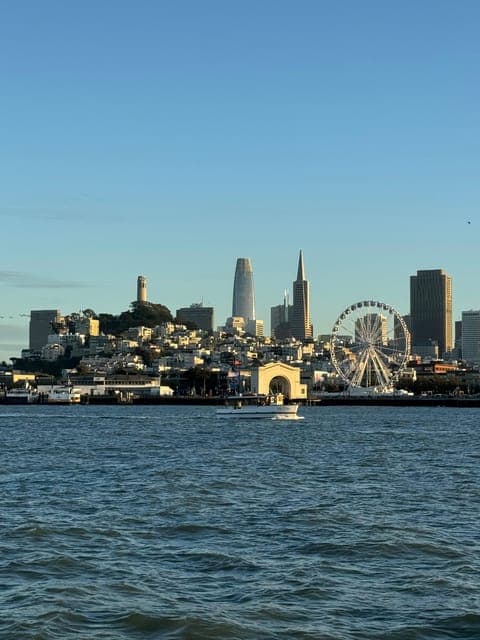 undefined Gallery Image 3