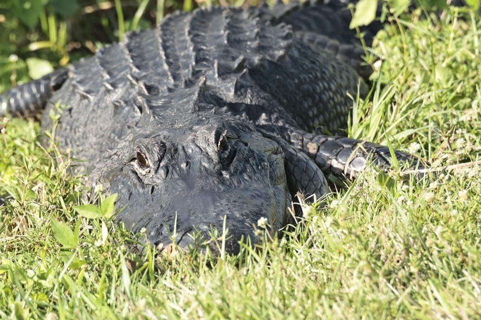 undefined Gallery Image 2