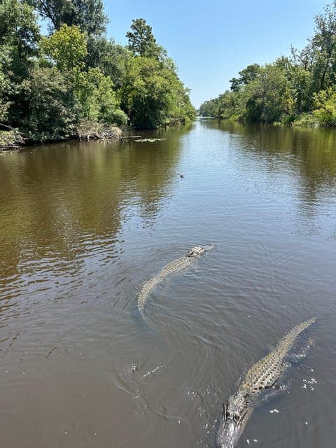 undefined Gallery Image 4