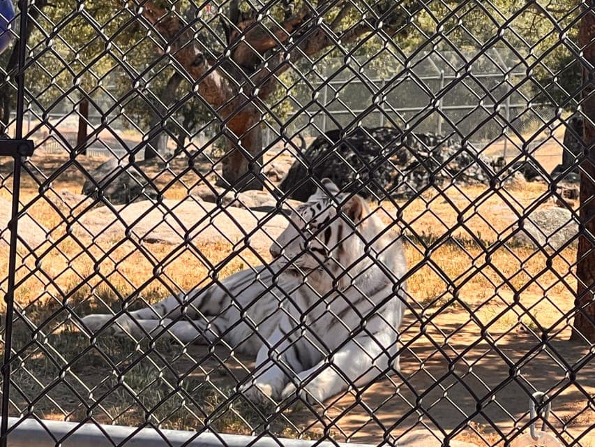 undefined Gallery Image 4