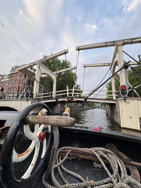 undefined Gallery Image 3