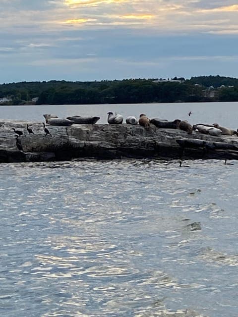 undefined Gallery Image 1