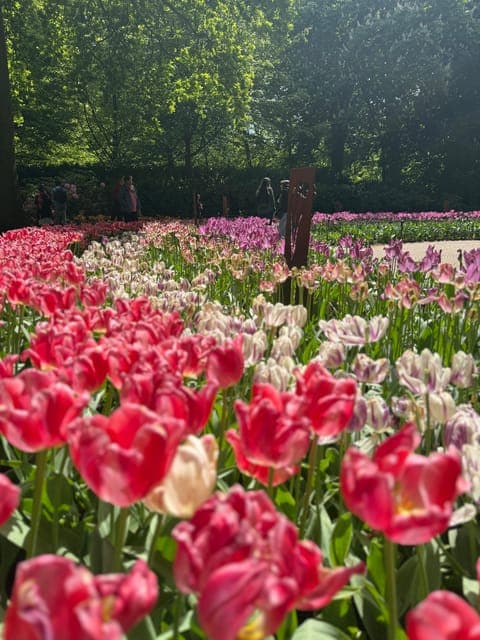 undefined Gallery Image 3