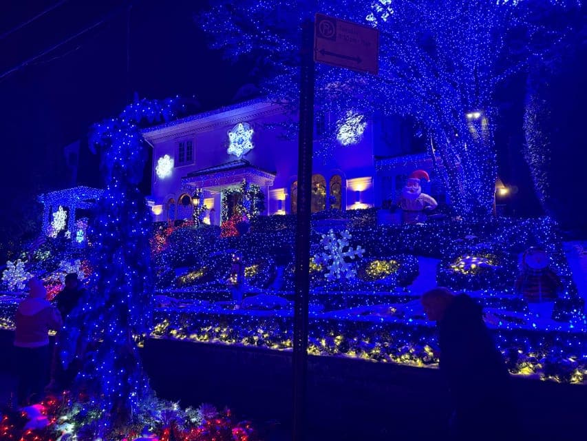 undefined Gallery Image 1