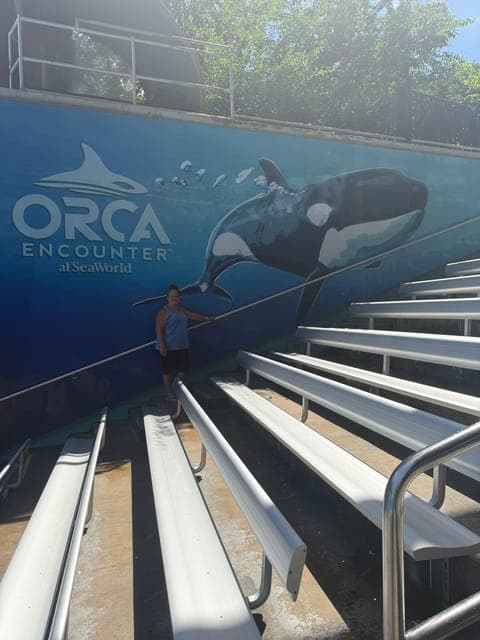 undefined Gallery Image 2