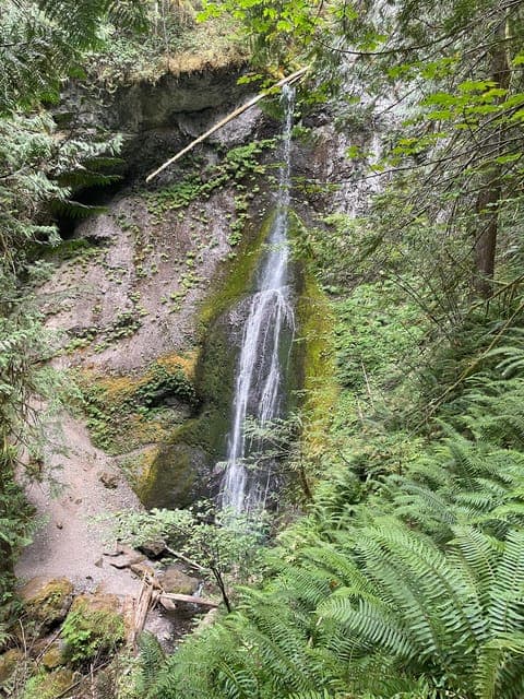 undefined Gallery Image 3