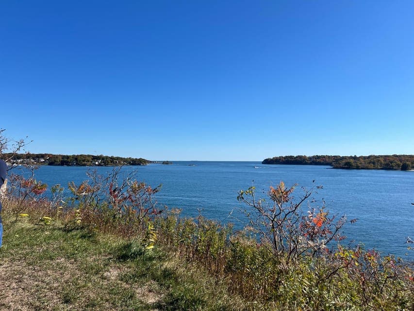 undefined Gallery Image 1