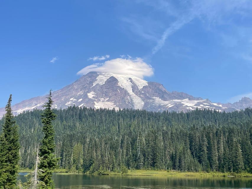 undefined Gallery Image 1