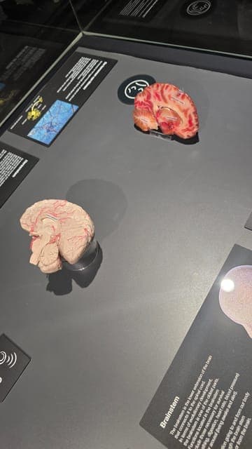 undefined Gallery Image 2