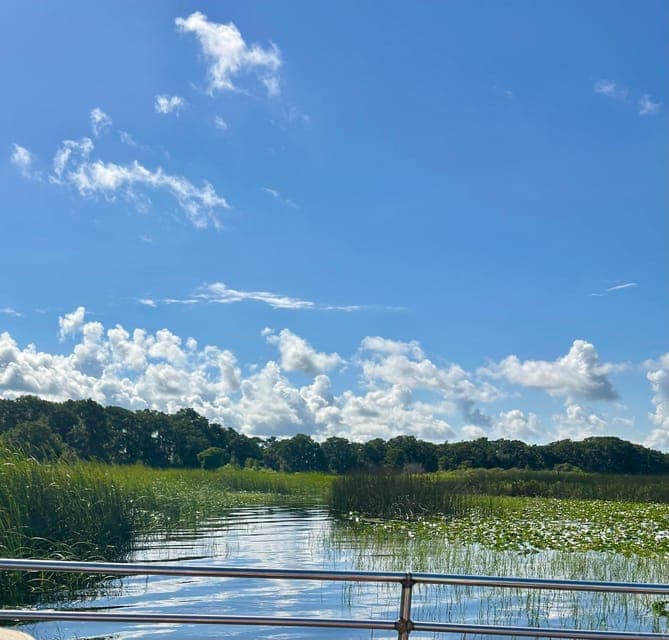 undefined Gallery Image 3