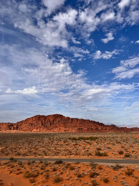 undefined Gallery Image 2