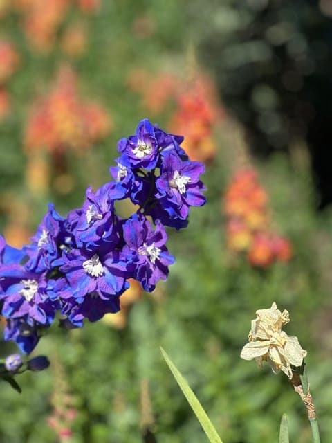 undefined Gallery Image 2