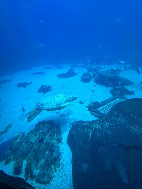 undefined Gallery Image 2