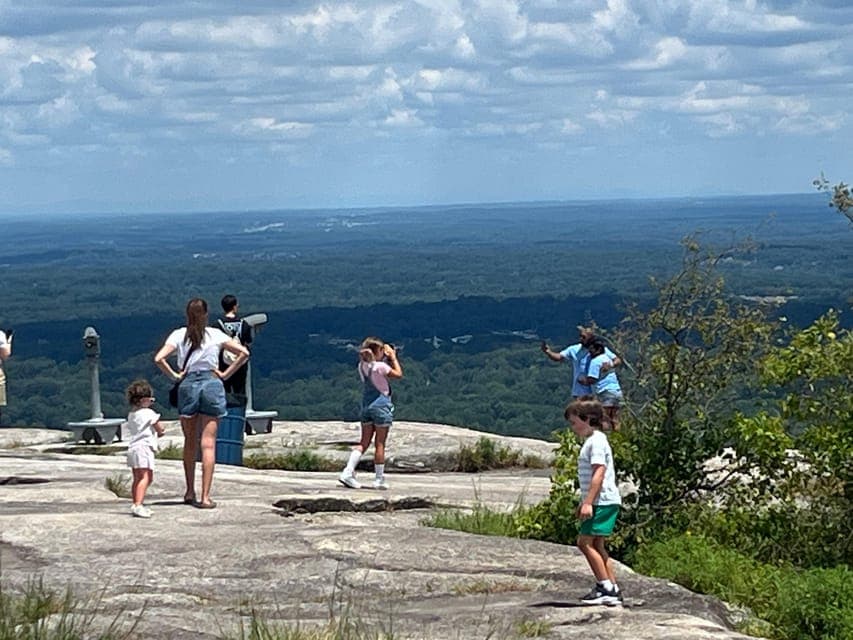 undefined Gallery Image 4