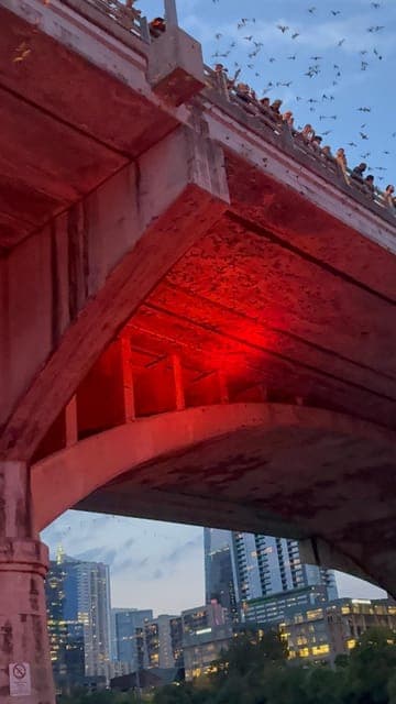 undefined Gallery Image 1