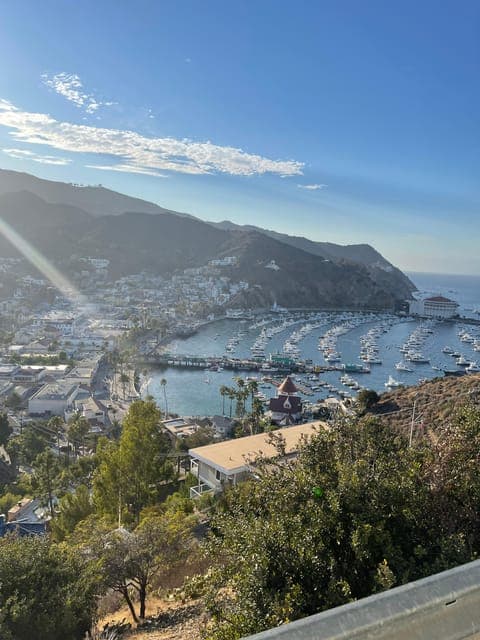 undefined Gallery Image 2