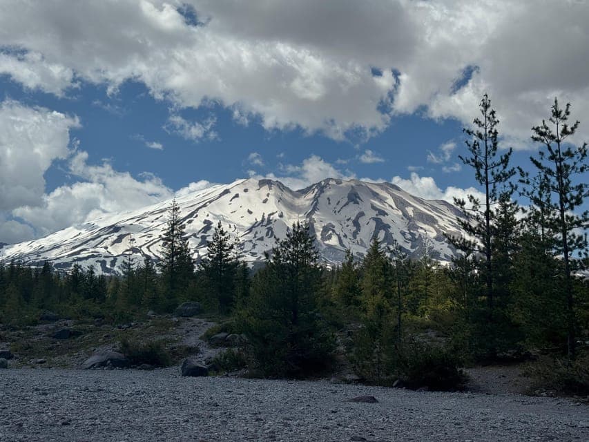 undefined Gallery Image 4