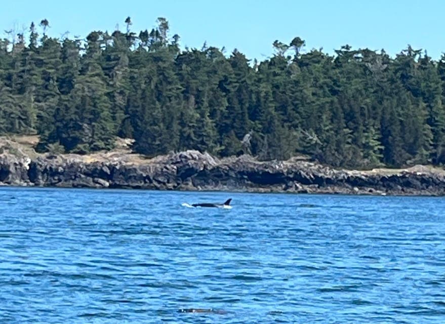 undefined Gallery Image 4