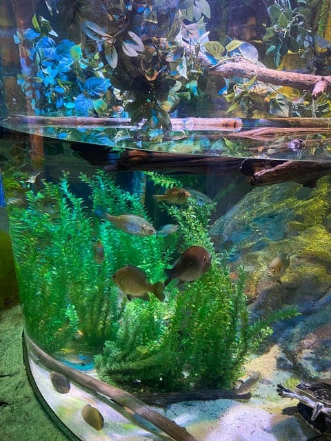 undefined Gallery Image 3