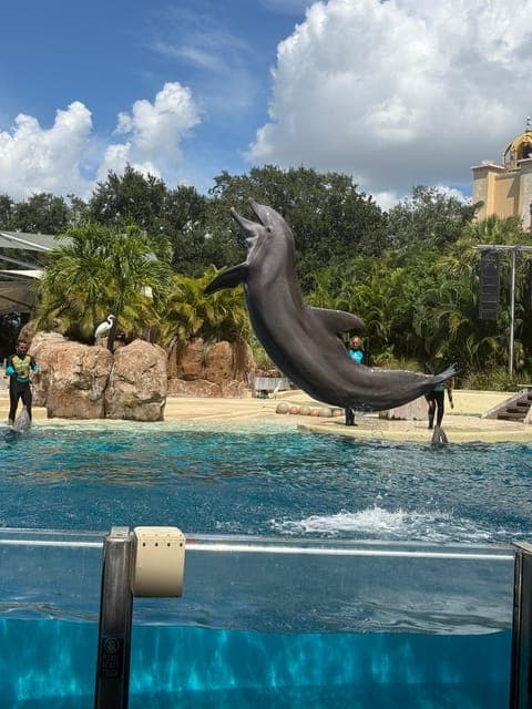 undefined Gallery Image 1