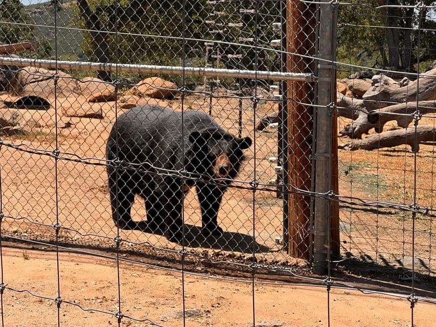 undefined Gallery Image 3