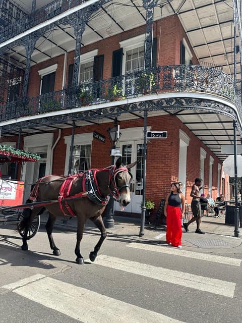 undefined Gallery Image 1